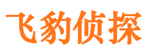 汉川市私家侦探